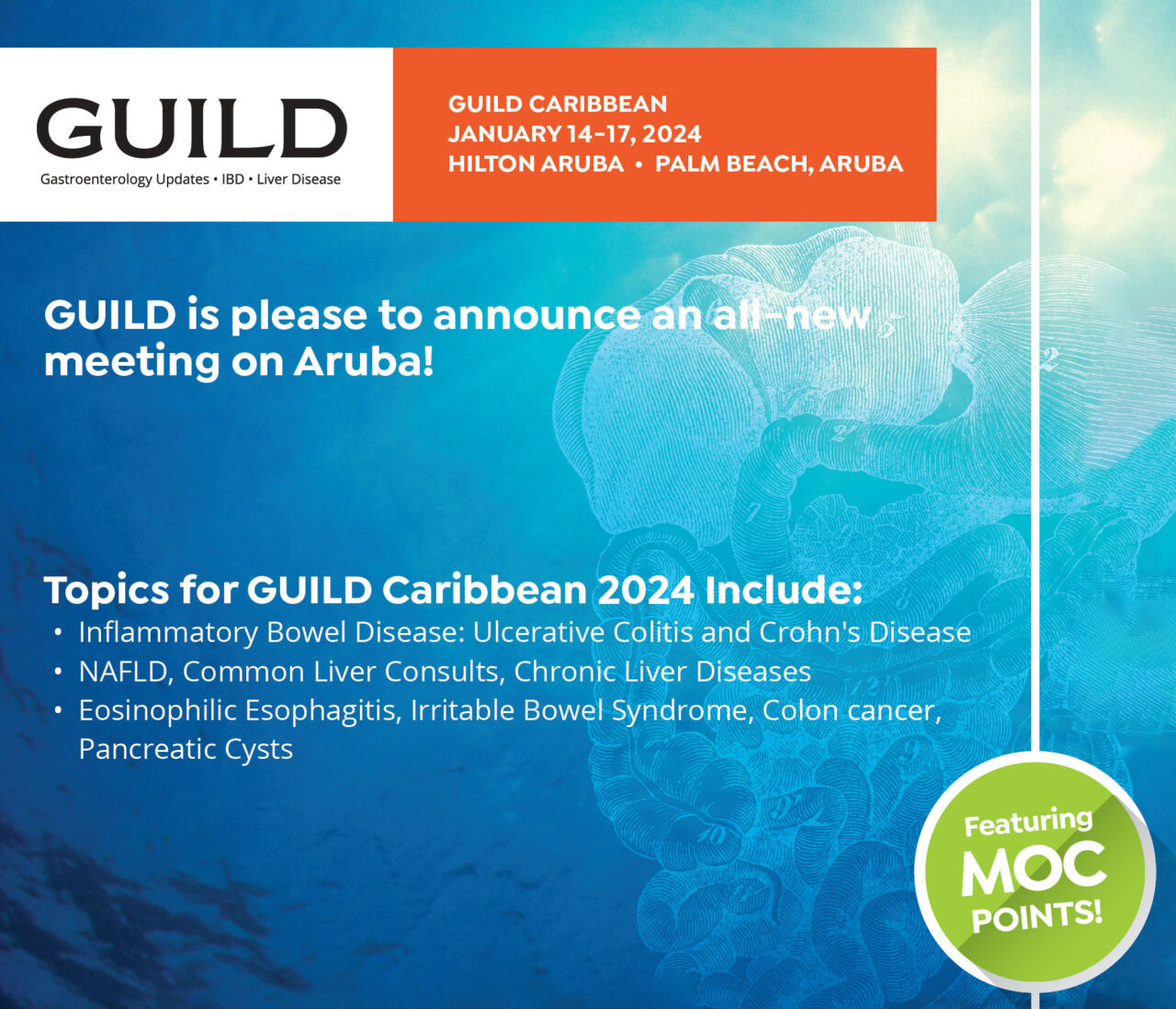 GUILD Caribbean 2024 Guild Conference 2024