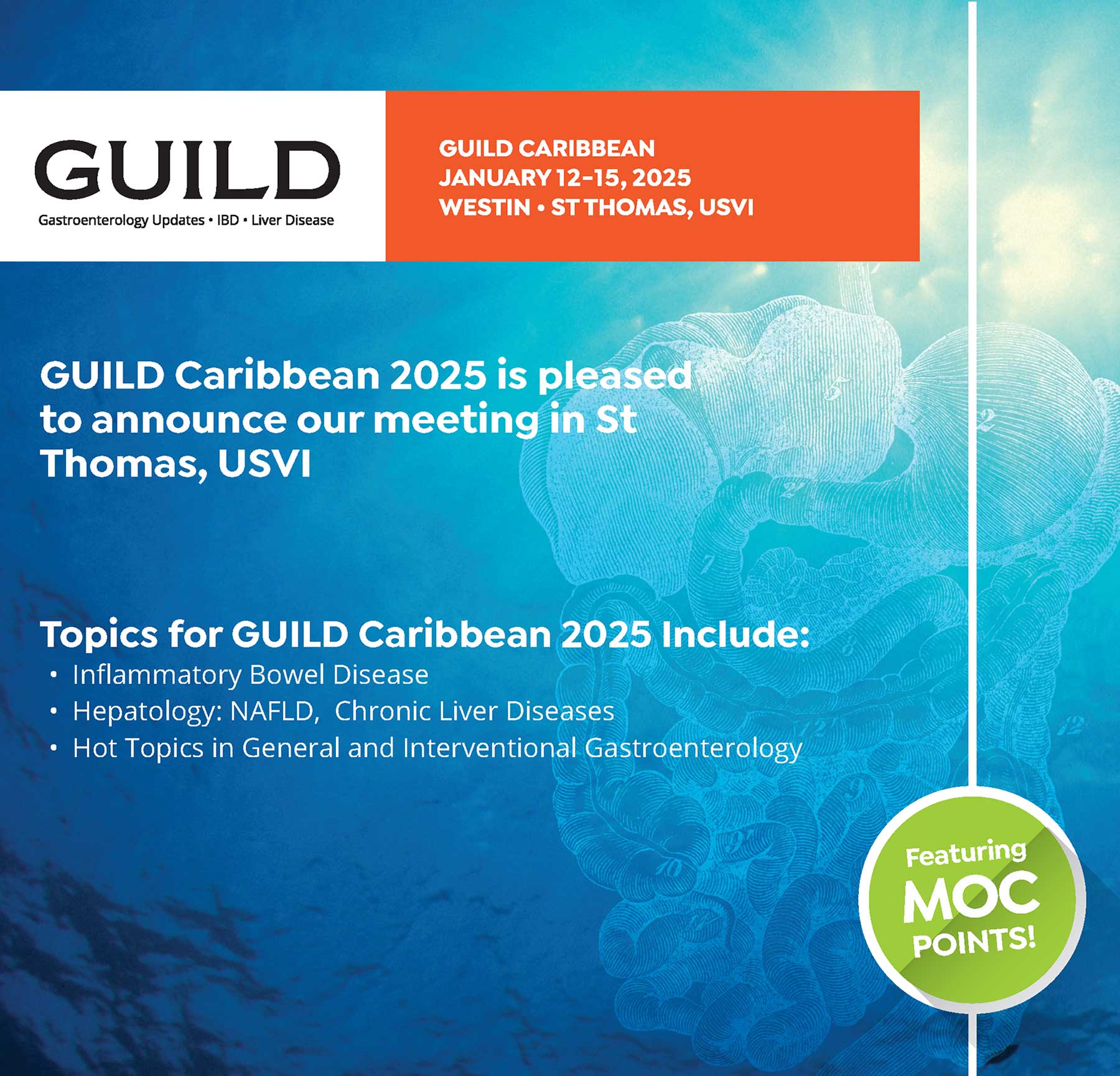 Guild Caribbean 2025