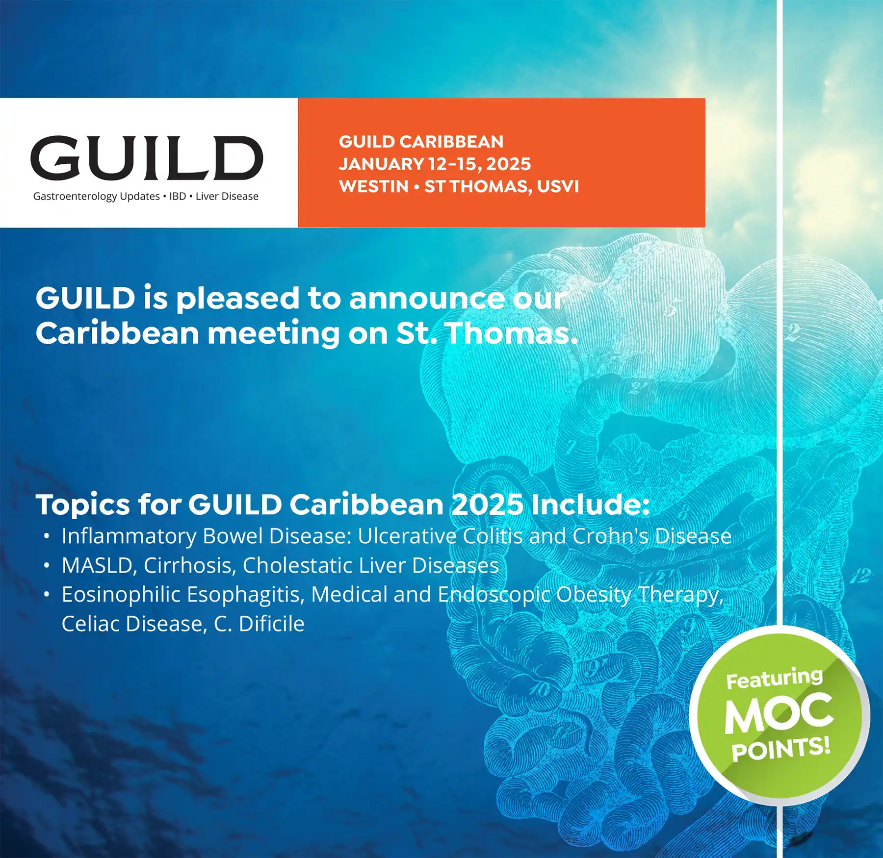 Guild Caribbean 2025
