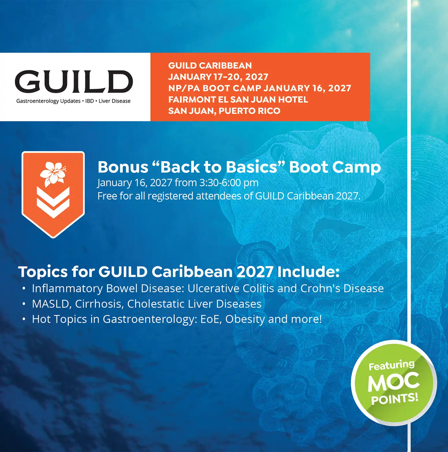 Guild Caribbean 2027